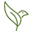 Yakao Icon