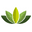 Orient-All Bio Icon