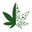 fleurdecbd Icon