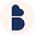 The Bradery Icon