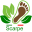 Scarpe BAREFOOT Icon