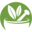 Herb Stop Online Icon