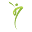 SanaExpert Icon