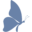 evolucion.center Icon