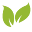 Saludable y Consciente Icon