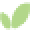 ChinaSprout Icon