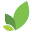 Green Foods Brazil Shop Icon