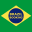 Brazil Booking Icon