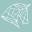 DressagePro Icon