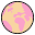 DWRS label Icon