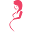 Opentopzwanger Icon