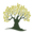 AndOlives Icon