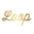 Loopstore.mx Icon