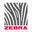 Zebra Mexico Icon