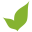 Foresta Organics Icon