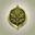 Forest Tribal Superfood Icon