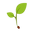 Seed 2 Plant Icon