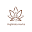 Vagbhata Herbs Icon