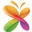 SILK ZONE Icon