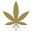 President Seeds Icon