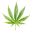 Dr. Greenthumb Icon