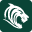 Leicestertigers Icon