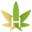Hemp Health Icon