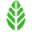 Moya Matcha Icon