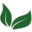 Nutri Food Icon