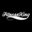 Fitnessking Icon