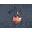 ClassyMissyWorld Icon