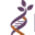 Functional Medicine SF Icon