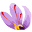 Mehr Saffron Icon