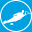 Water Skis Icon