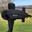 Submarinegolf Icon