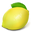 The Lemonade Boutique Icon