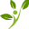KT Beauty Boom Icon