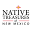Nativetreasuresnm Icon