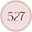 527 Photo Icon