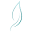 Jintara Icon