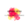 Dignite Store Icon