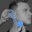 EarSplintz Icon