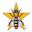 Gold Star Honeybees Icon