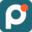 Profi Icon
