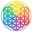 Life Music Group Icon
