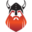 Viking Solutions Icon