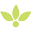 Honeoye Remedies Icon