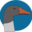 Goose Studio Icon