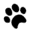 Wolf Spring Icon