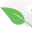Real Organic Vapors Icon